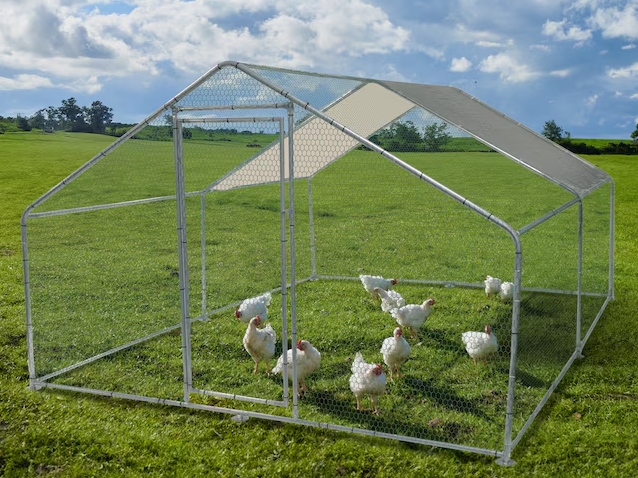 chicken coop mesh wire